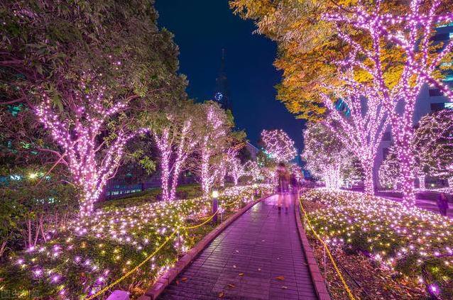 公園樹木亮化：增加城市亮度，凈化城市空氣